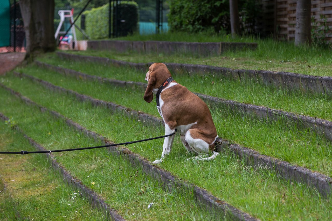 Bild 59 - BL Club an der Alster - THC von Horn und Hamm : Ergebnis: 9:0